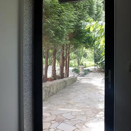 Family Secrets Santo Andre *