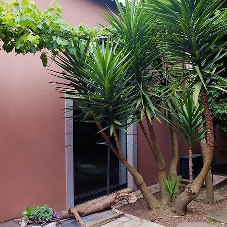 Family Secrets Santo Andre Villa