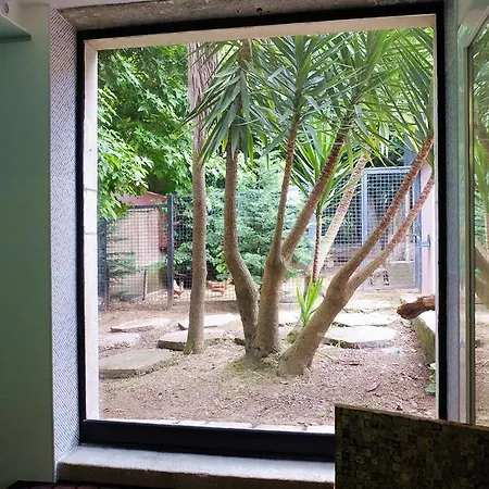 Family Secrets Santo Andre