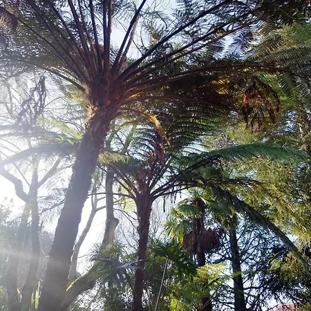 Family Secrets Santo Andre